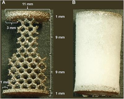 Peptide-Enriched Silk Fibroin Sponge and Trabecular Titanium Composites to Enhance Bone Ingrowth of Prosthetic Implants in an Ovine Model of Bone Gaps